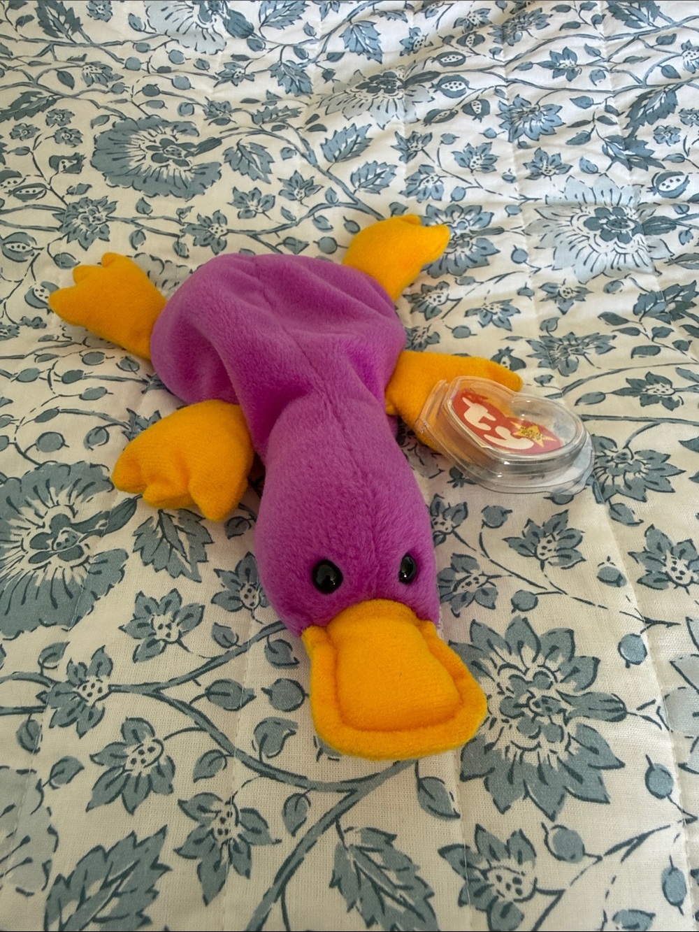 TY Beanie Baby Purple & Yellow Platypus Plush Toy